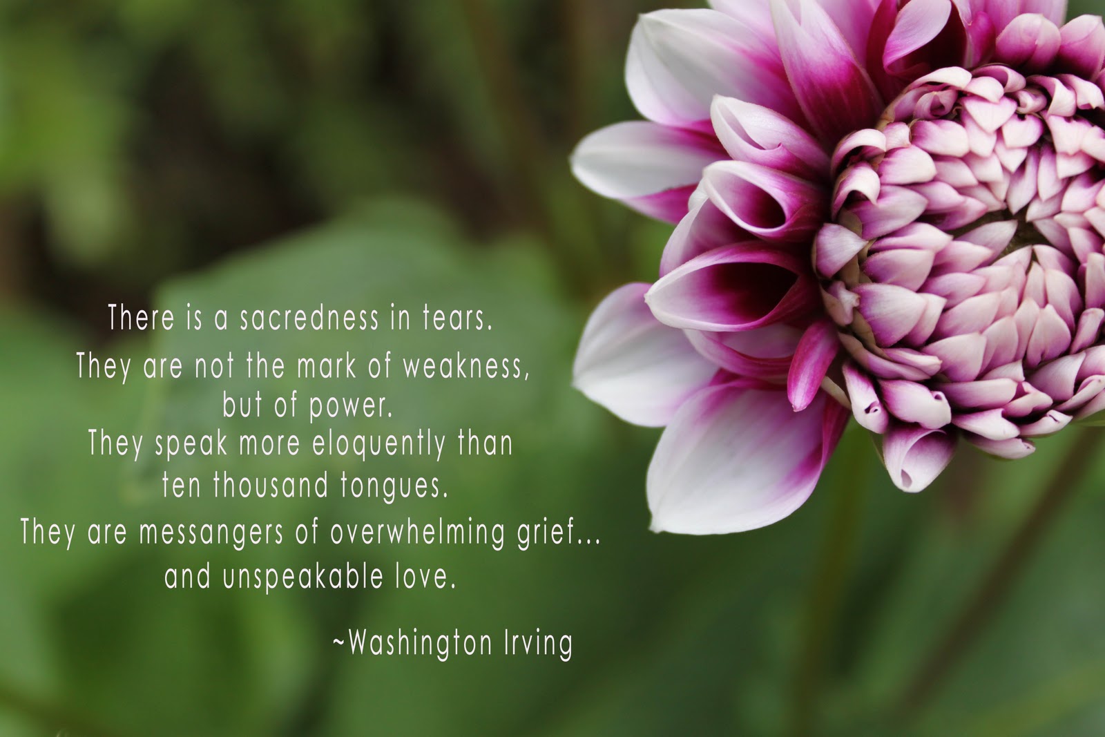 Washington Irving's quote #1