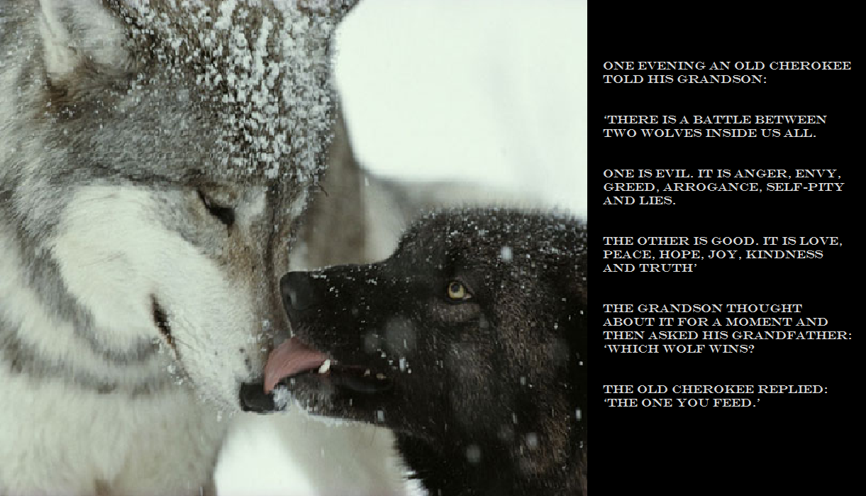 Wolves quote #2