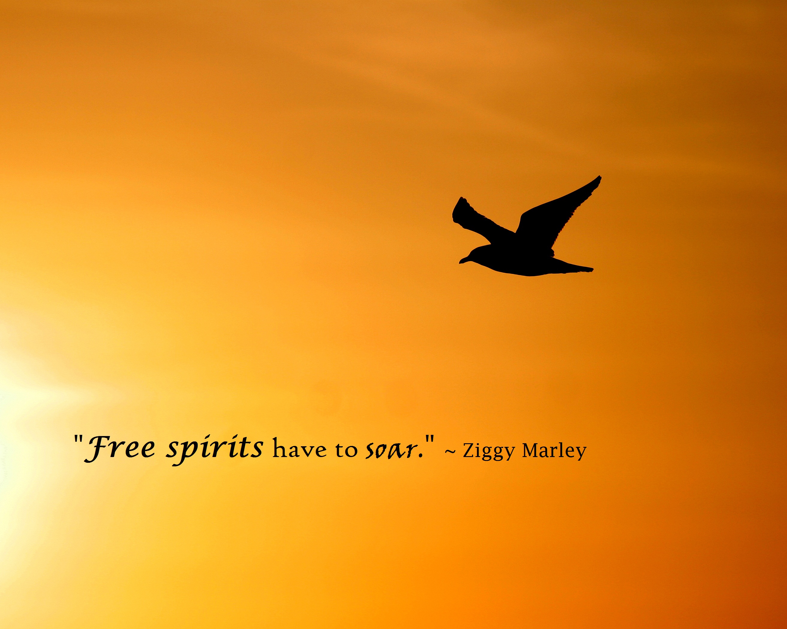 Ziggy Marley's quote #6