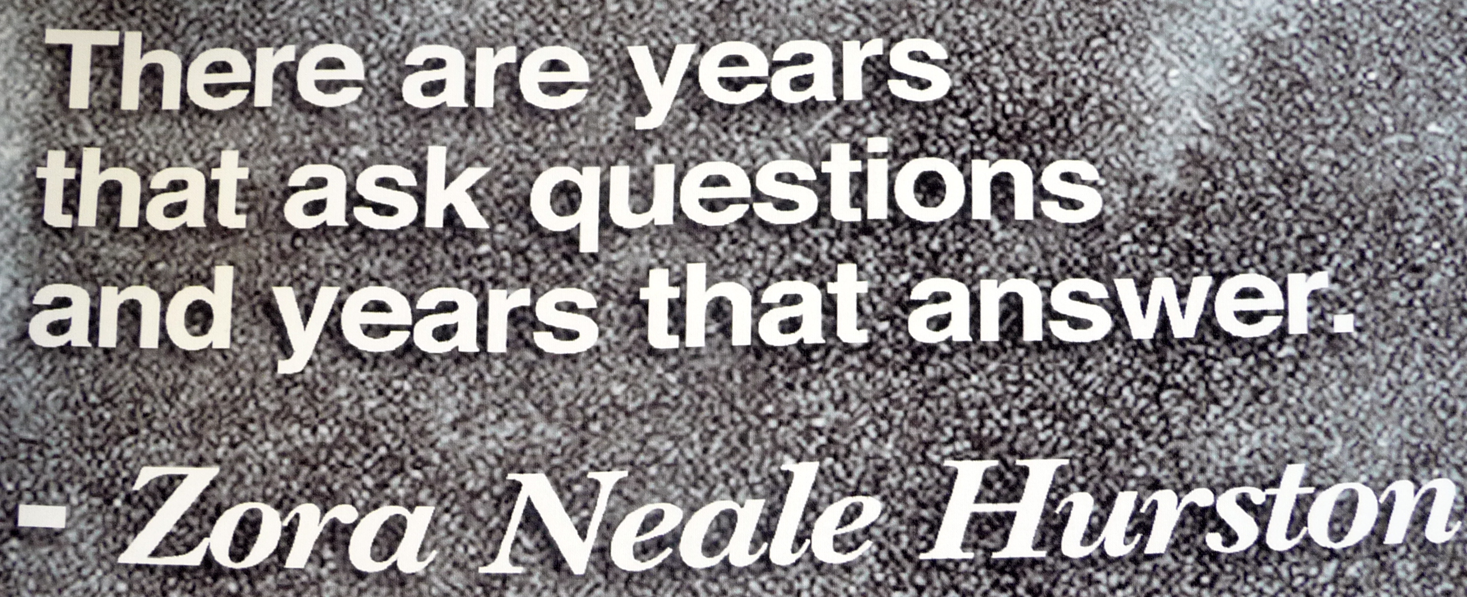 Zora Neale Hurston's quote #7