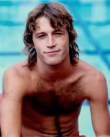 Andy Gibb