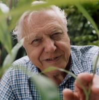 David Attenborough