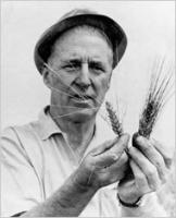 Norman Borlaug