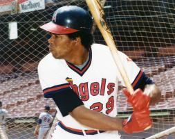 Rod Carew