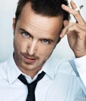 Aaron Paul's quote