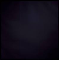 Ad Reinhardt profile photo