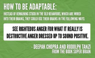Adaptable quote #1