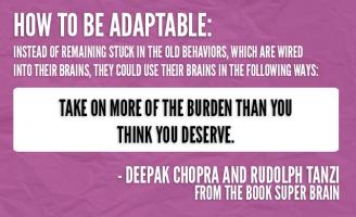 Adaptable quote #1