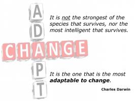 Adapting quote #1