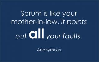 Agile quote #2