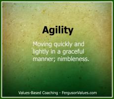 Agility quote #2