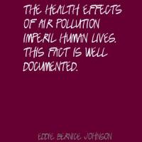Air Pollution quote #2