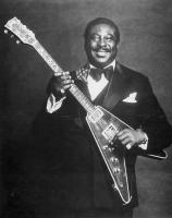 Albert King's quote #1