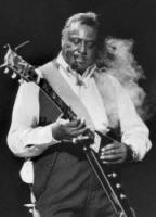 Albert King's quote #1