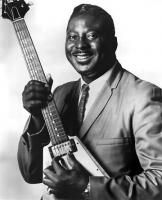 Albert King's quote #1