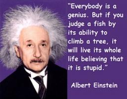 Albert quote #2