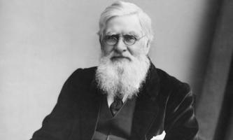 Alfred Russel Wallace profile photo