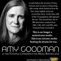 Amy Goodman's quote #4