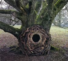 Andy Goldsworthy profile photo