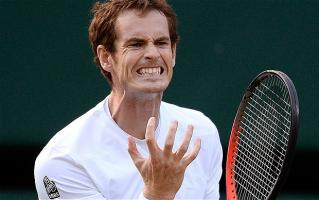 Andy Murray profile photo