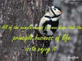 Animal Life quote #2