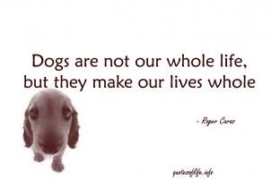 Animal Life quote #2