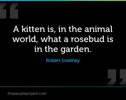 Animal World quote #2
