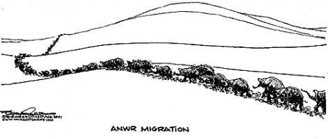 Anwr quote #2