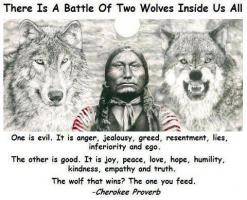 Apache quote #2