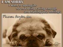 Apologise quote #1