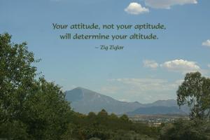 Aptitude quote #1