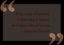 Arabian quote #2