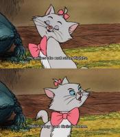 Aristocrats quote #2