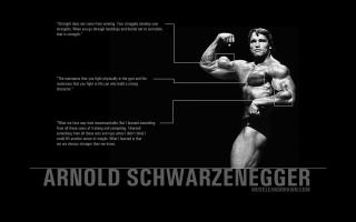 Arnold Schwarzenegger quote #2