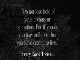 Aspirations quote #2