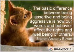 Assertive quote #2