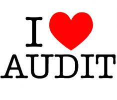 Audit quote #1