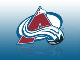 Avalanche quote #1
