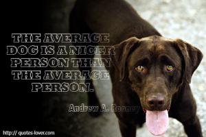 Average Person quote #2