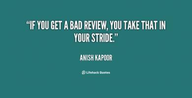 Bad Review quote #2