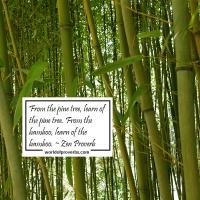 Bamboo quote #1