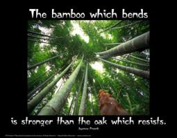 Bamboo quote #1