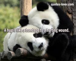 Bandage quote #1