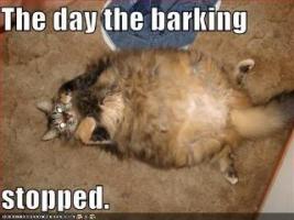 Barking quote #1