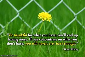 Be Thankful quote #2
