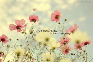 Beautiful Day quote #2