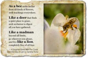 Bee quote #5