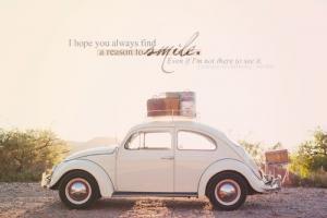 Beetle quote #2