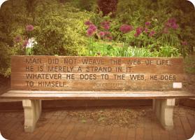 Benches quote #2