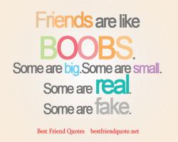 Best Friend quote #2